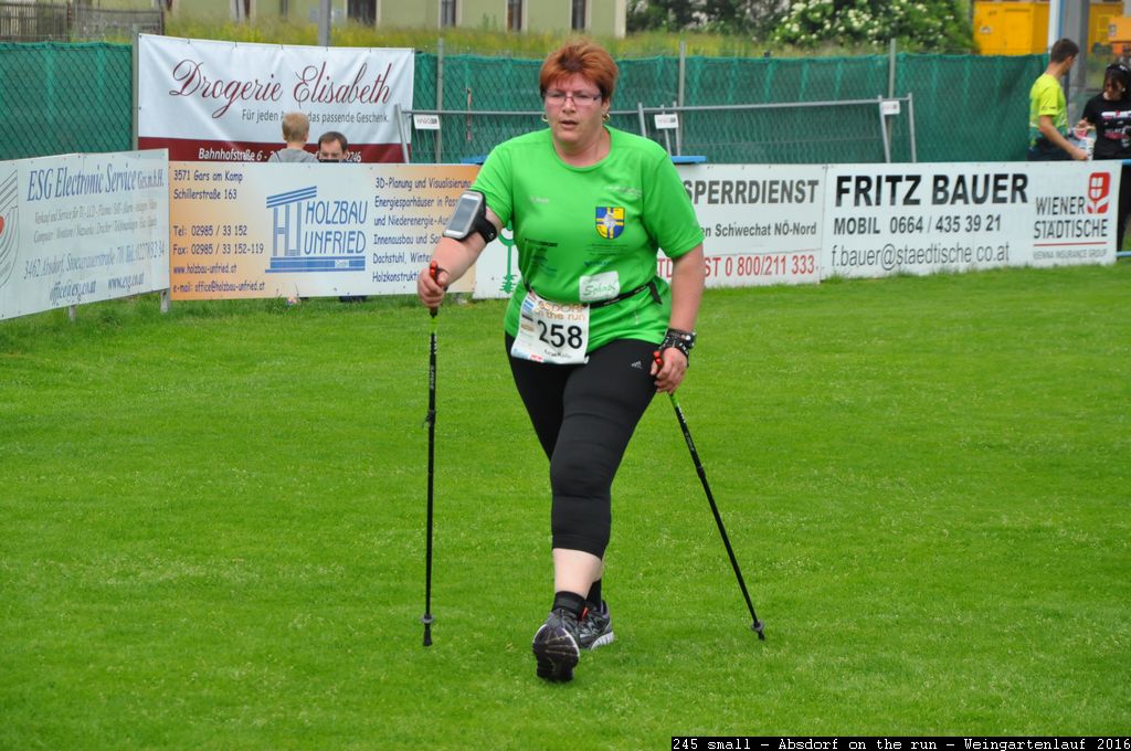 245 small - Absdorf on the run - Weingartenlauf 2016.jpg