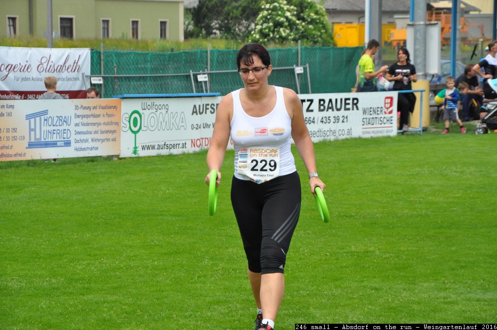 246 small - Absdorf on the run - Weingartenlauf 2016.jpg