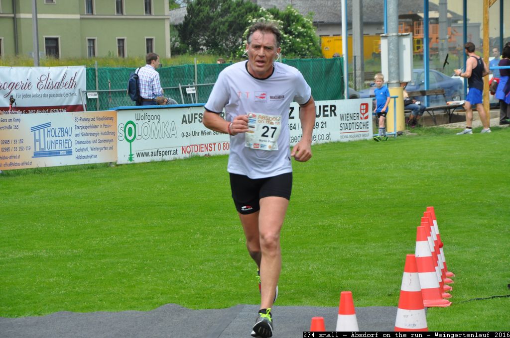 274 small - Absdorf on the run - Weingartenlauf 2016.jpg