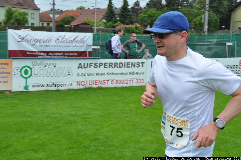 286 small - Absdorf on the run - Weingartenlauf 2016.jpg