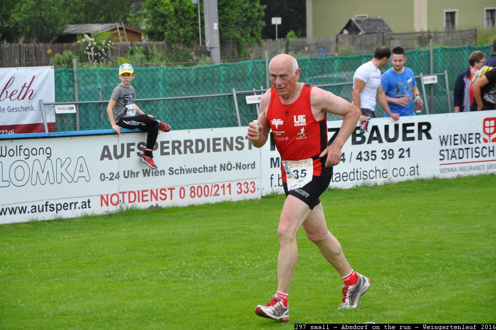 297 small - Absdorf on the run - Weingartenlauf 2016.jpg