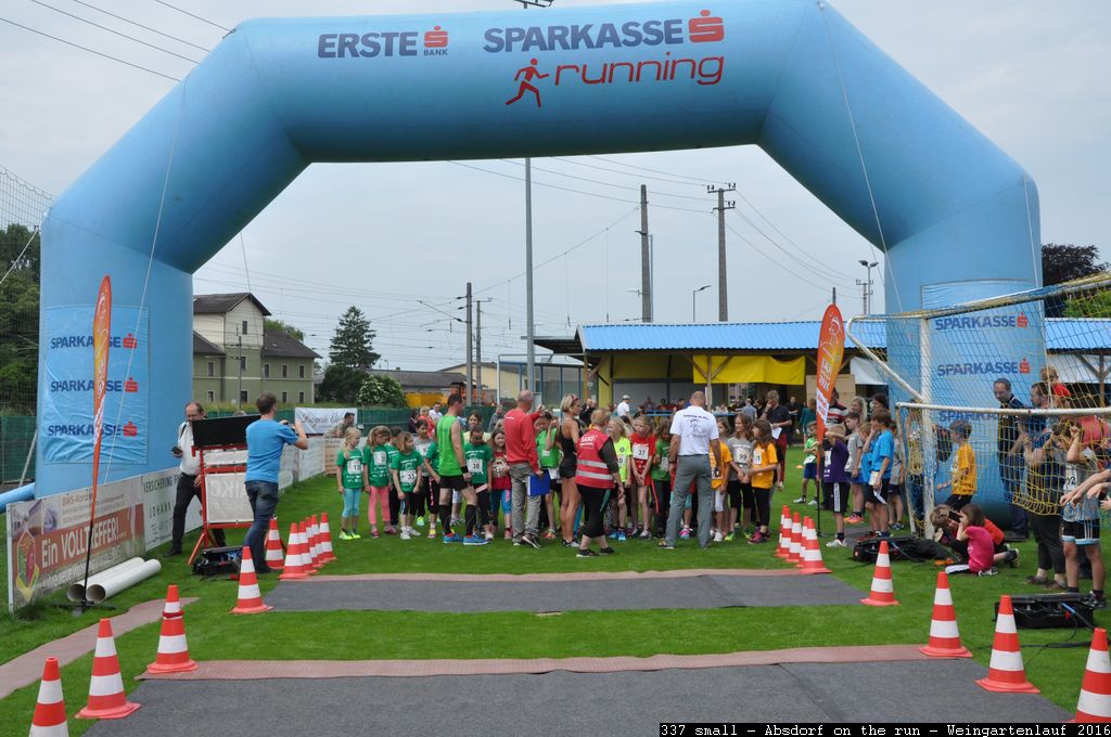 337 small - Absdorf on the run - Weingartenlauf 2016.jpg