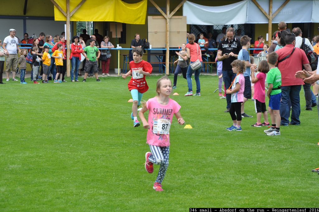 346 small - Absdorf on the run - Weingartenlauf 2016.jpg