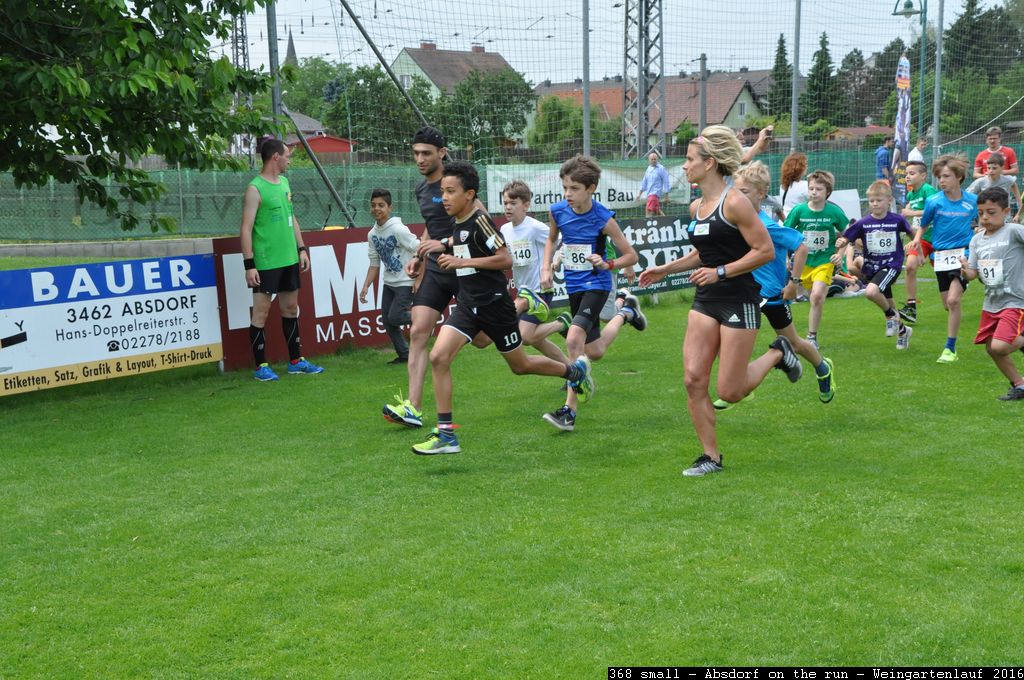 368 small - Absdorf on the run - Weingartenlauf 2016.jpg
