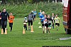 529 small - Absdorf on the run - Weingartenlauf 2017.jpg